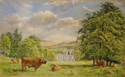 Taureaux à Balmoral, 1988